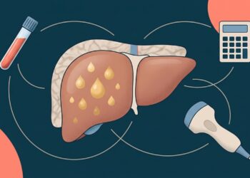 Ultrassom mostrou gordura no fígado? O exame sozinho não revela inflamação ou cicatriz