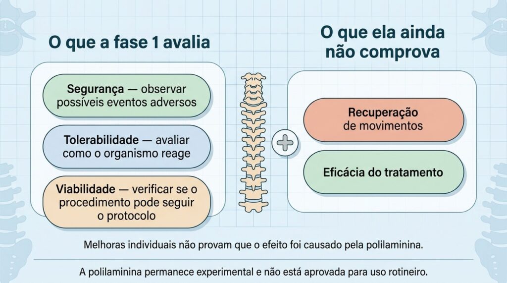 A fase 1 deve esclarecer segurança, tolerabilidade e viabilidade antes de estudos capazes de testar eficácia.