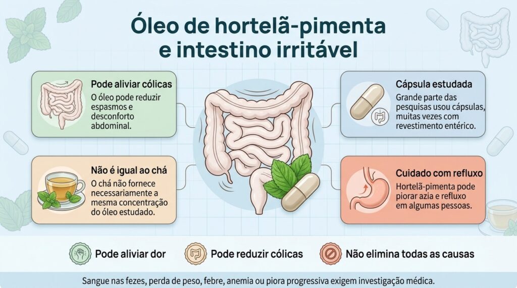 O óleo de hortelã-pimenta pode aliviar sintomas do intestino irritável em algumas pessoas, mas pode piorar refluxo e não substitui avaliação médica.