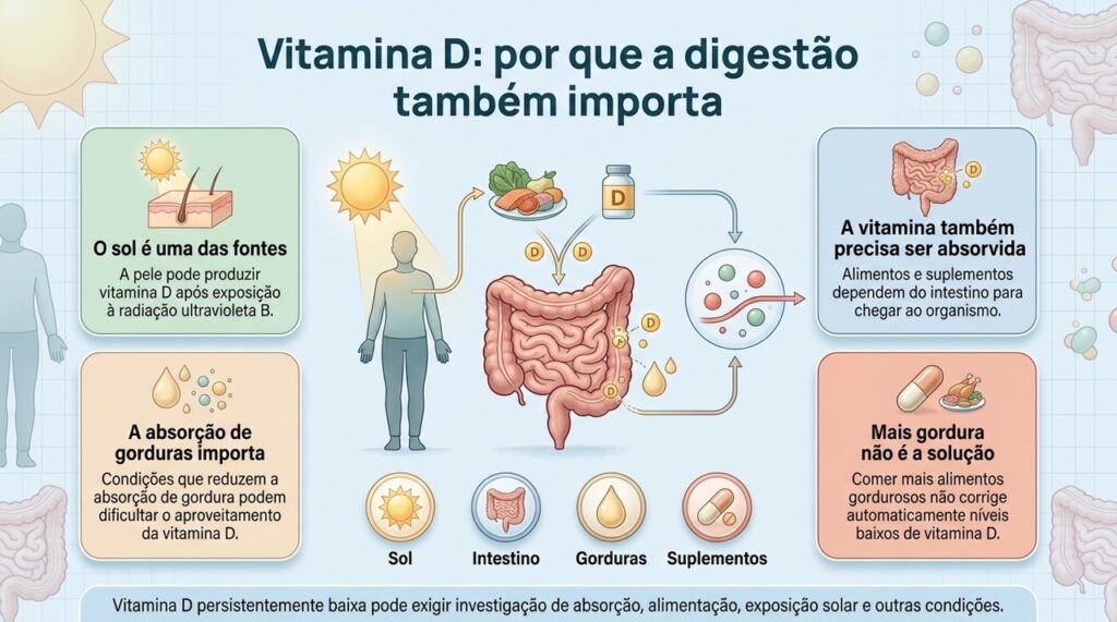 A absorção intestinal de gorduras influencia o aproveitamento da vitamina D obtida por alimentos e suplementos.