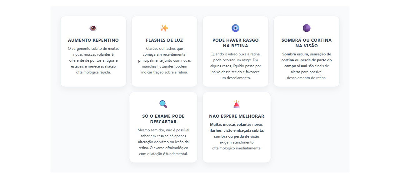 Moscas volantes e flashes: 6 sinais de alerta para a retina