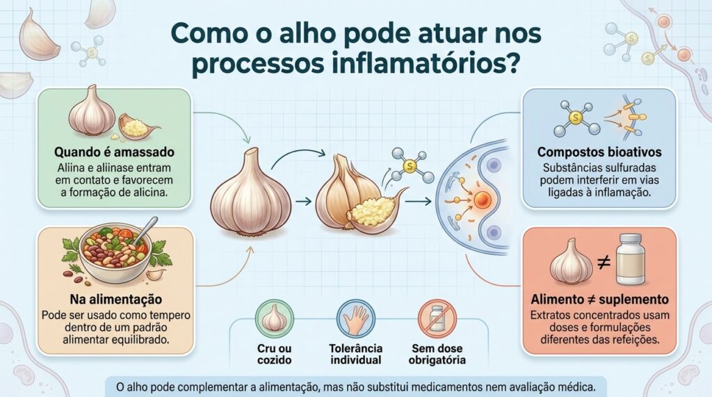 Os compostos sulfurados do alho podem modular alguns mecanismos inflamatórios, mas os efeitos variam conforme a preparação e o contexto de consumo.