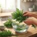 Shungiku acrescenta potássio, fibras e vitaminas ao prato e diversifica o consumo de folhas verdes.