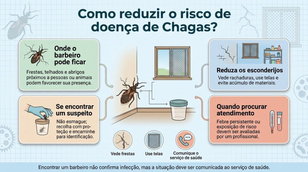A prevenção combina redução de abrigos do barbeiro, identificação segura do inseto e avaliação médica quando existe exposição suspeita.