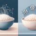 Esfriar o arroz antes de comer pode mudar o efeito dele na glicose, e a explicação está no amido