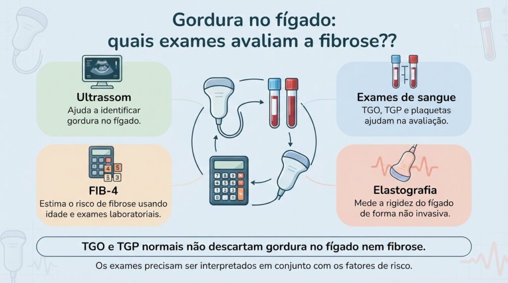 A avaliação da esteatose e da fibrose combina exames de imagem, sangue e cálculos de risco.