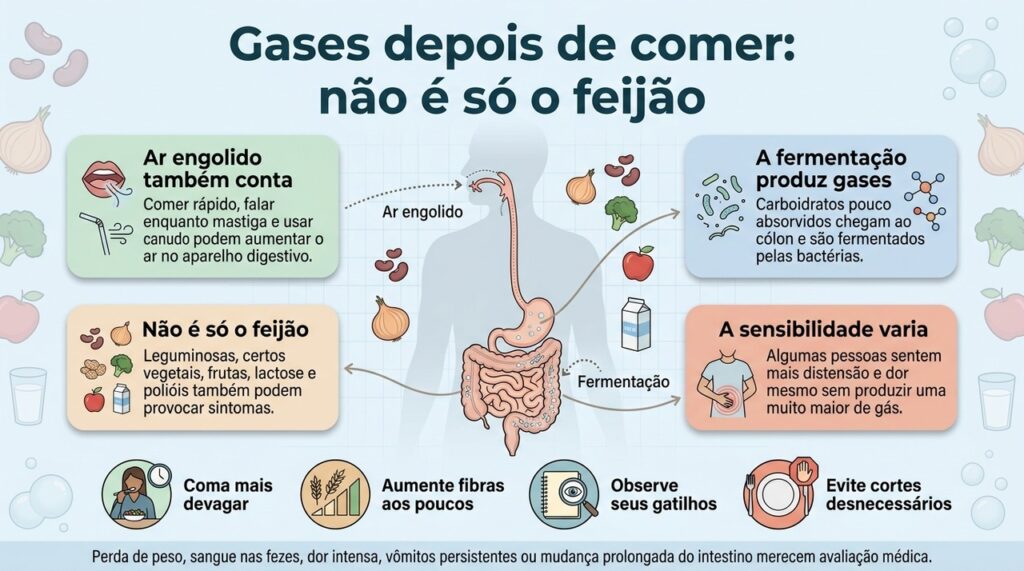 A formação de gases depende da fermentação, do ar engolido e da sensibilidade intestinal de cada pessoa.