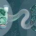 Fermentação intestinal: entenda por que alguns alimentos geram mais gases
