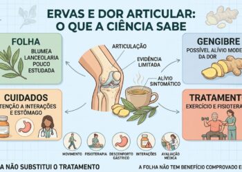 Evidências limitadas sobre as ervas reforçam a importância de fisioterapia, exercícios e avaliação médica.