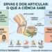 Evidências limitadas sobre as ervas reforçam a importância de fisioterapia, exercícios e avaliação médica.