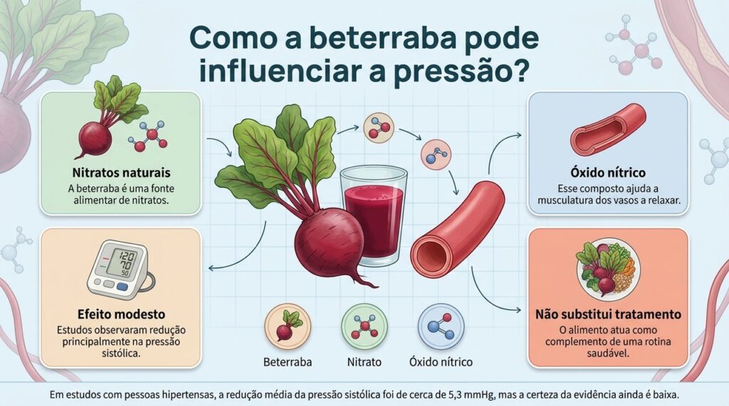Estudos apontam uma pequena redução da pressão sistólica com nitratos da beterraba, mas o efeito varia e não substitui medicamentos.