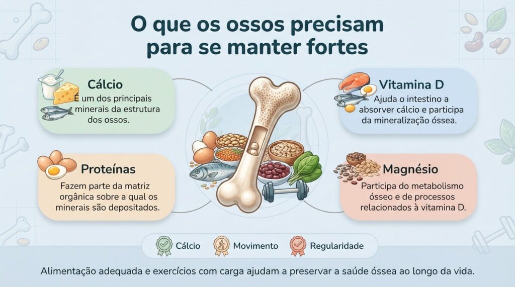 Cálcio, vitamina D, proteínas e magnésio atuam em conjunto, enquanto o exercício oferece estímulo para manter os ossos resistentes.