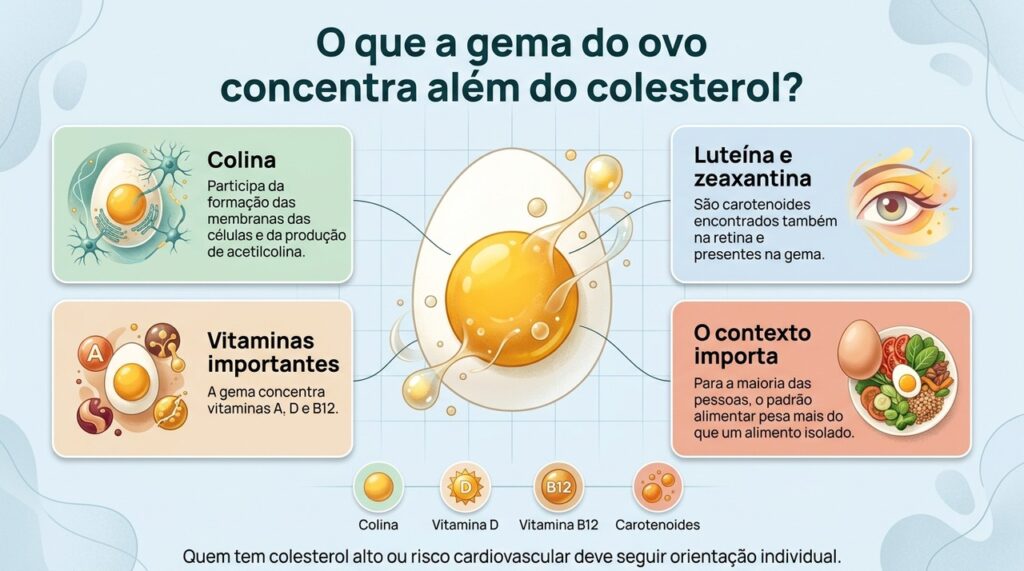 A gema é uma parte nutricionalmente densa do ovo e reúne nutrientes que vão muito além do colesterol.