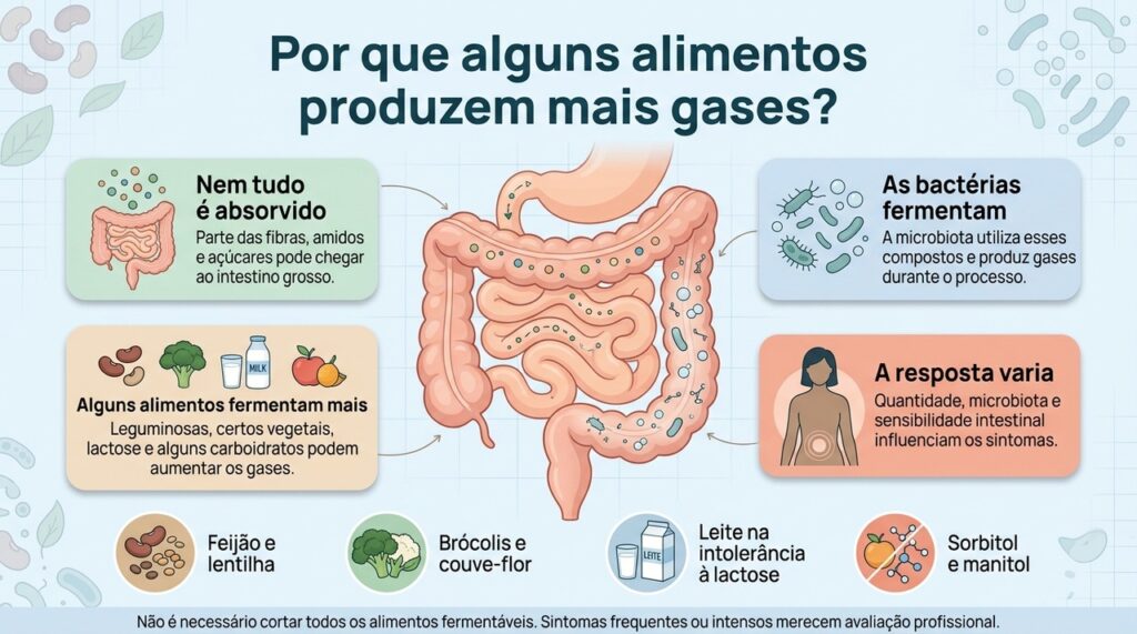A quantidade de gás produzido depende do alimento, da microbiota, da absorção intestinal e da sensibilidade de cada pessoa.