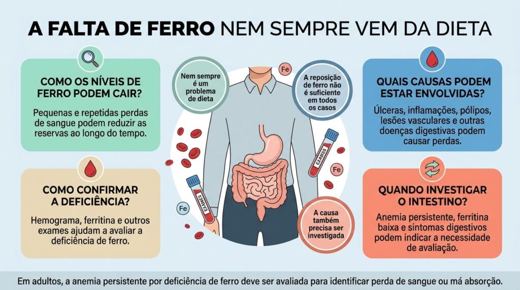 A anemia ferropriva persistente pode exigir investigação do estômago e do intestino, além da reposição de ferro.