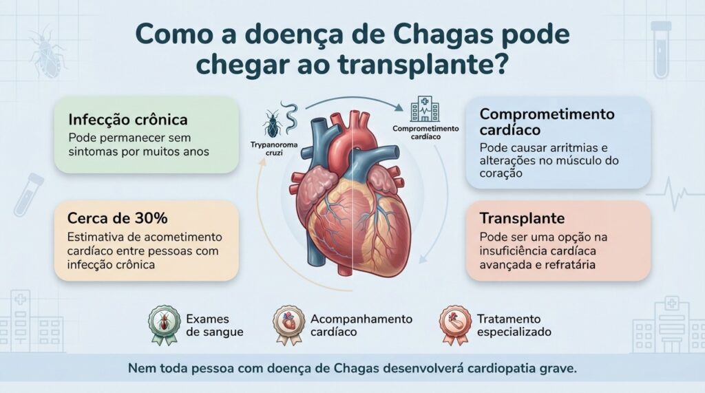 A infecção crônica pode afetar o coração ao longo dos anos, mas apenas parte das pessoas evolui para formas cardíacas graves.