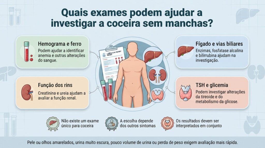 A investigação da coceira generalizada pode incluir exames do sangue, fígado, rins e tireoide, escolhidos conforme o quadro de cada pessoa.