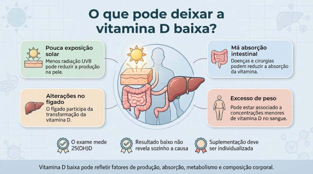 Sol, intestino, fígado e composição corporal podem influenciar os níveis de vitamina D no organismo.