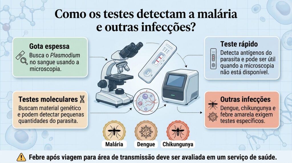 A gota espessa é central no diagnóstico da malária, enquanto outras infecções transmitidas por mosquitos exigem testes próprios.