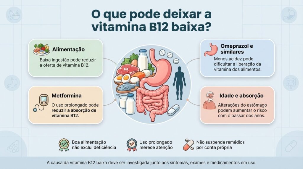 A deficiência de vitamina B12 pode envolver alimentação, absorção, idade e uso prolongado de alguns medicamentos.