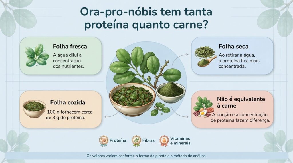 Na ora-pro-nóbis, valores altos de proteína em estudos geralmente se referem à matéria seca, não à mesma quantidade de folhas frescas.