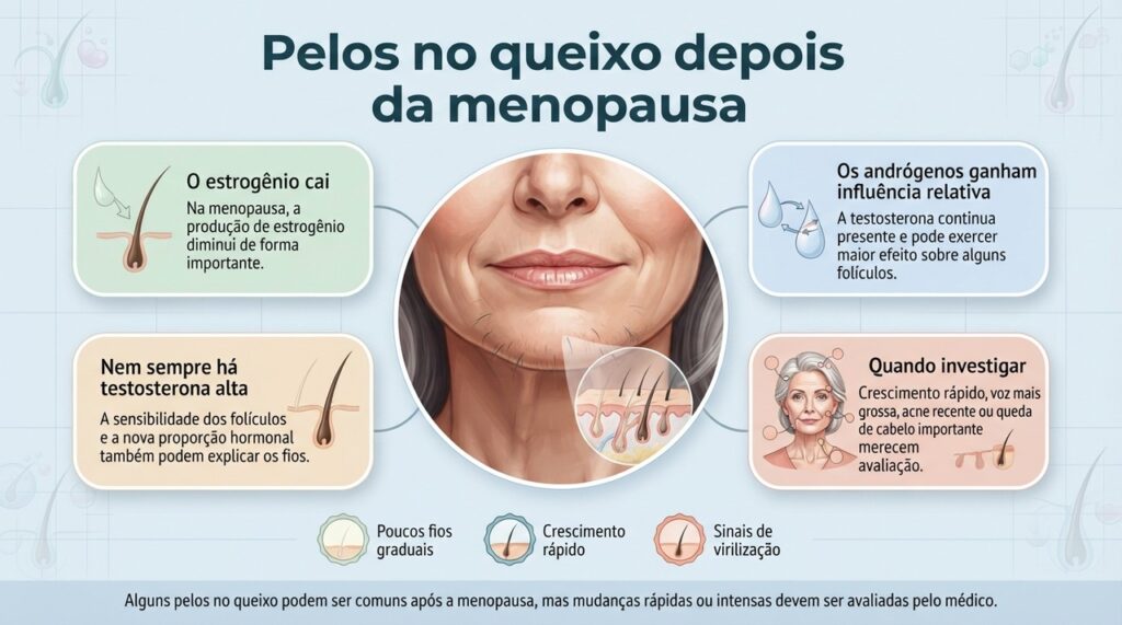 A queda do estrogênio e a influência relativa dos andrógenos ajudam a explicar por que alguns fios do queixo ficam mais grossos após a menopausa.