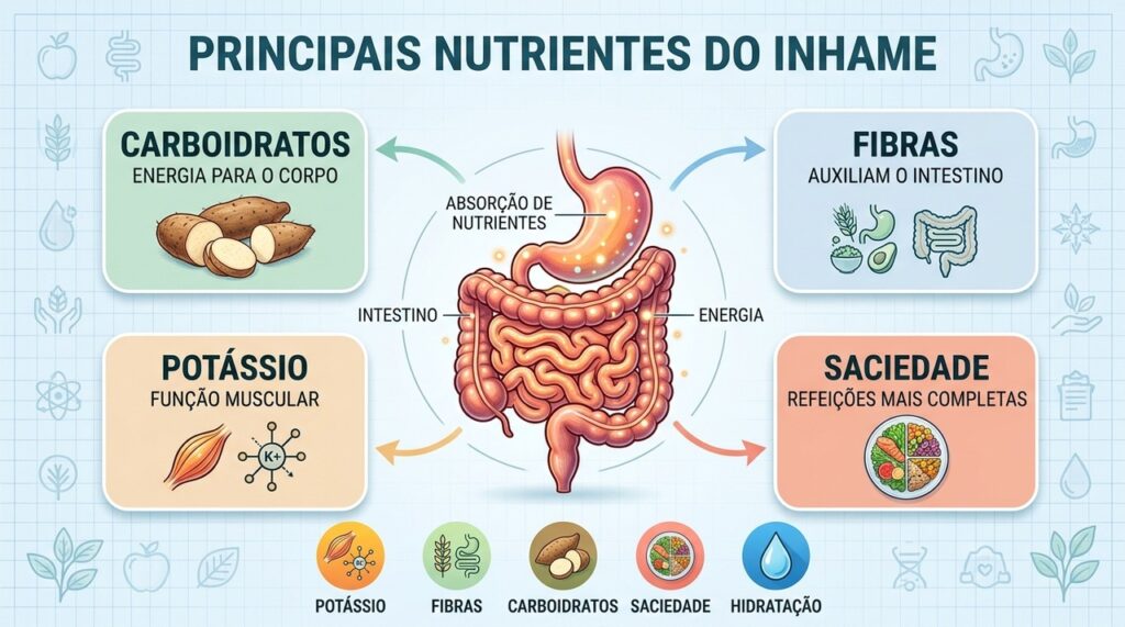 Carboidratos, fibras e potássio explicam os principais benefícios nutricionais do inhame.
