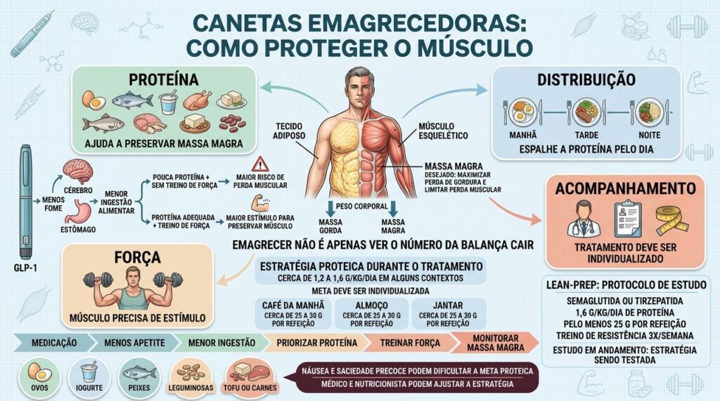 Proteína, treino resistido e acompanhamento ajudam a proteger massa magra durante o tratamento.