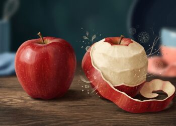 Muita gente descasca a maçã por costume, mas poucos sabem quanto de nutrientes fica na casca