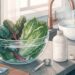 Higienizar verduras com hipoclorito: o que muda e por que a Anvisa recomenda