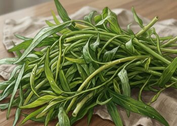 Este vegetal pode beneficiar os ossos e a saúde do fígado