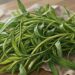 Este vegetal pode beneficiar os ossos e a saúde do fígado
